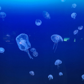 0666695F-2D3A-4651-AD04-0EA6152B4C51.jpeg