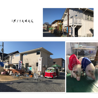 53F9F60E-7E62-4662-871C-A048667B9648.jpeg