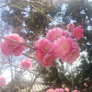 950225C7-048A-4A04-B7DB-2B2C8768E345.jpeg