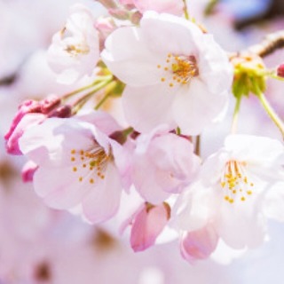 D1EB12A4-B3DB-4373-8A78-0685B3207907.jpeg