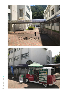 D8C2F385-C084-419E-A0B6-72B98A7A9425.jpeg